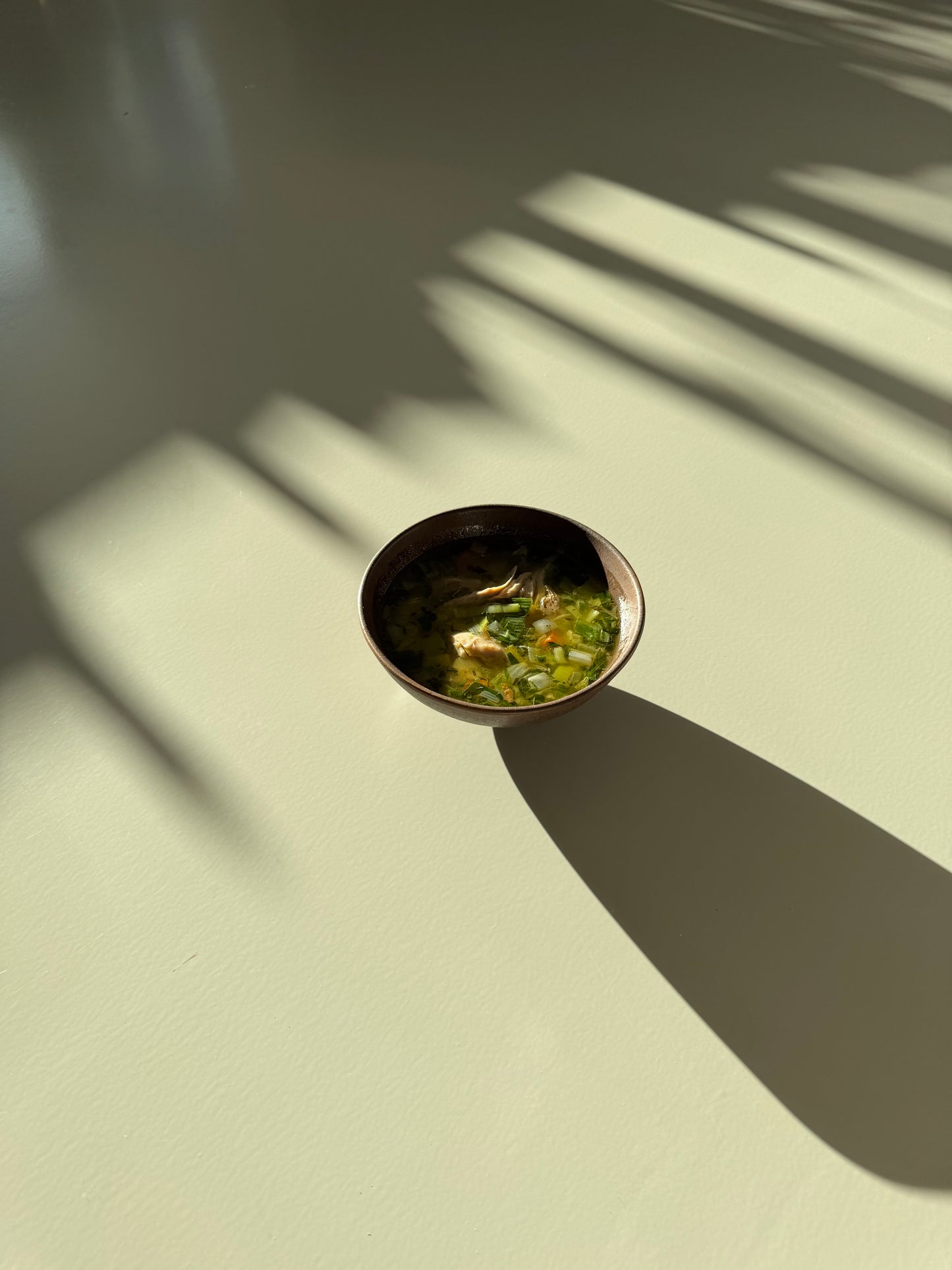 A bowl of chicken soup with visible carrots and celery, placed on a neutral background.