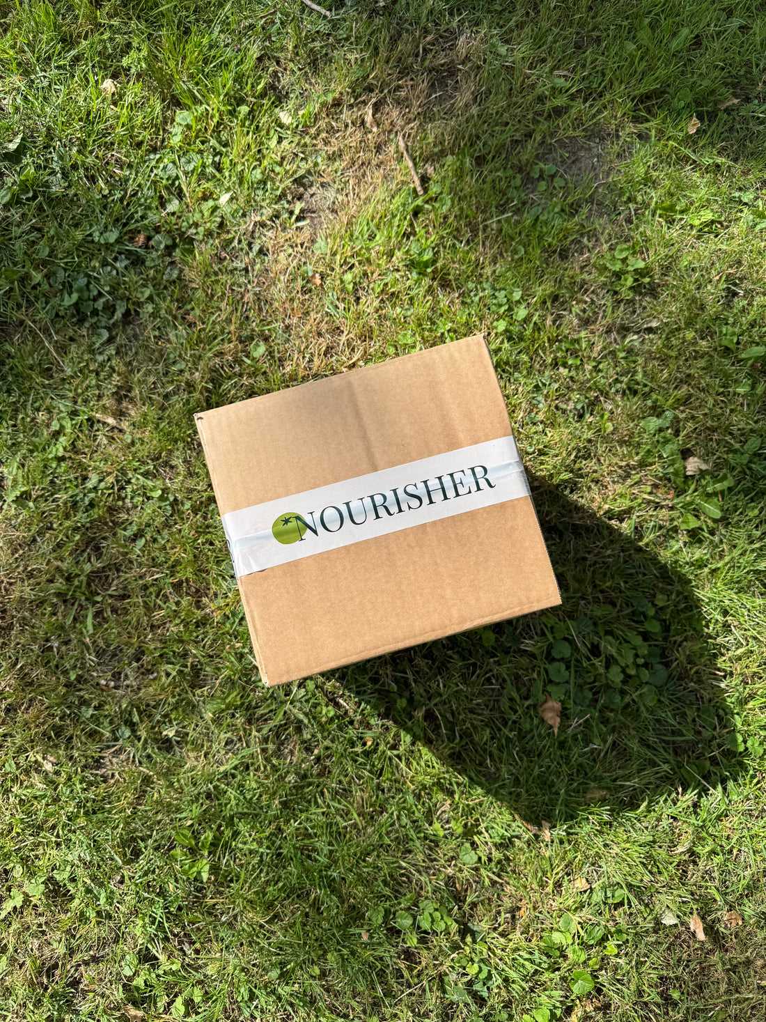 The New Parent Survival Box: Nourishing Meals for the First Days With Your Baby
