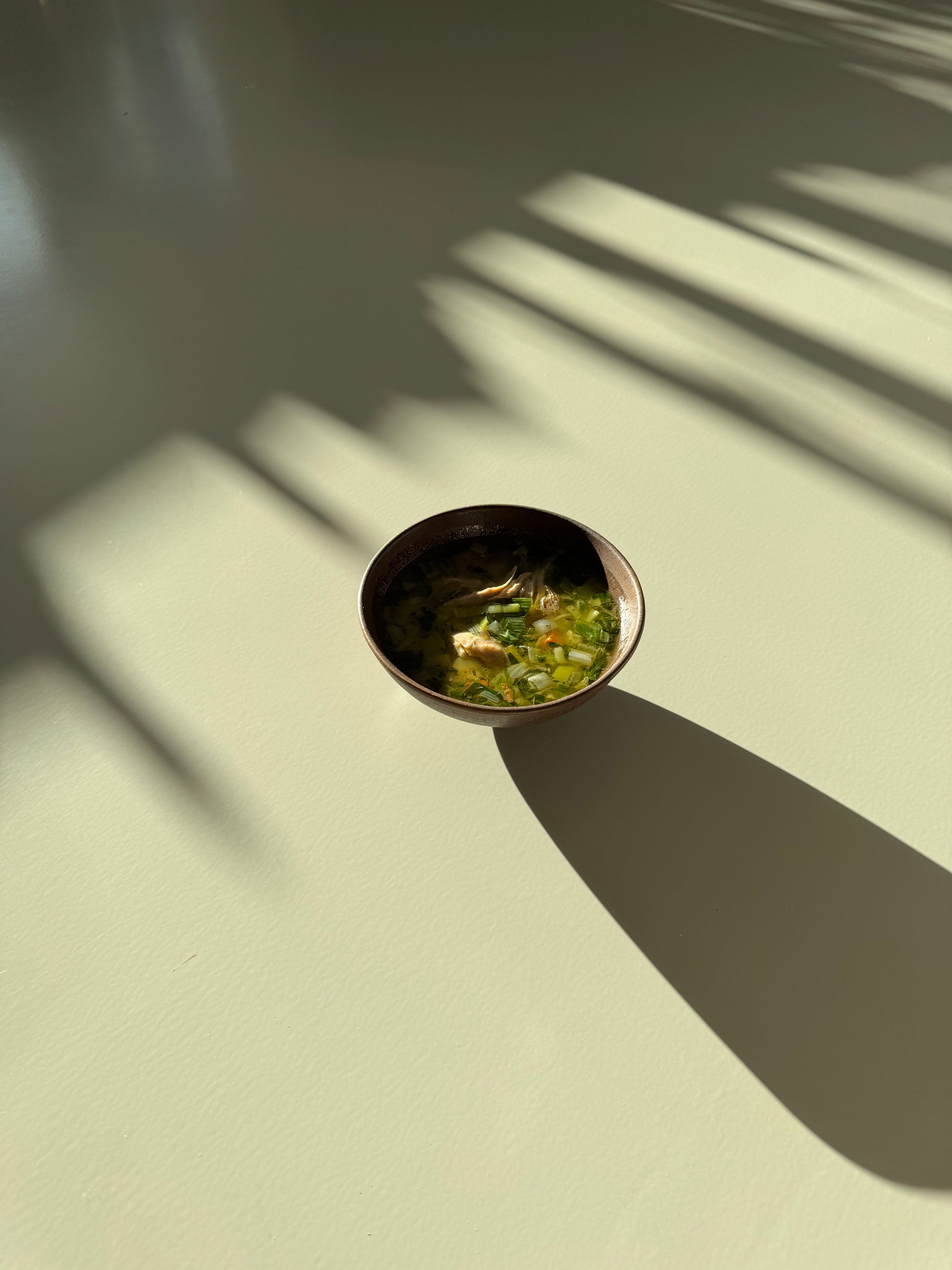 A bowl of chicken soup with visible carrots and celery, placed on a neutral background.