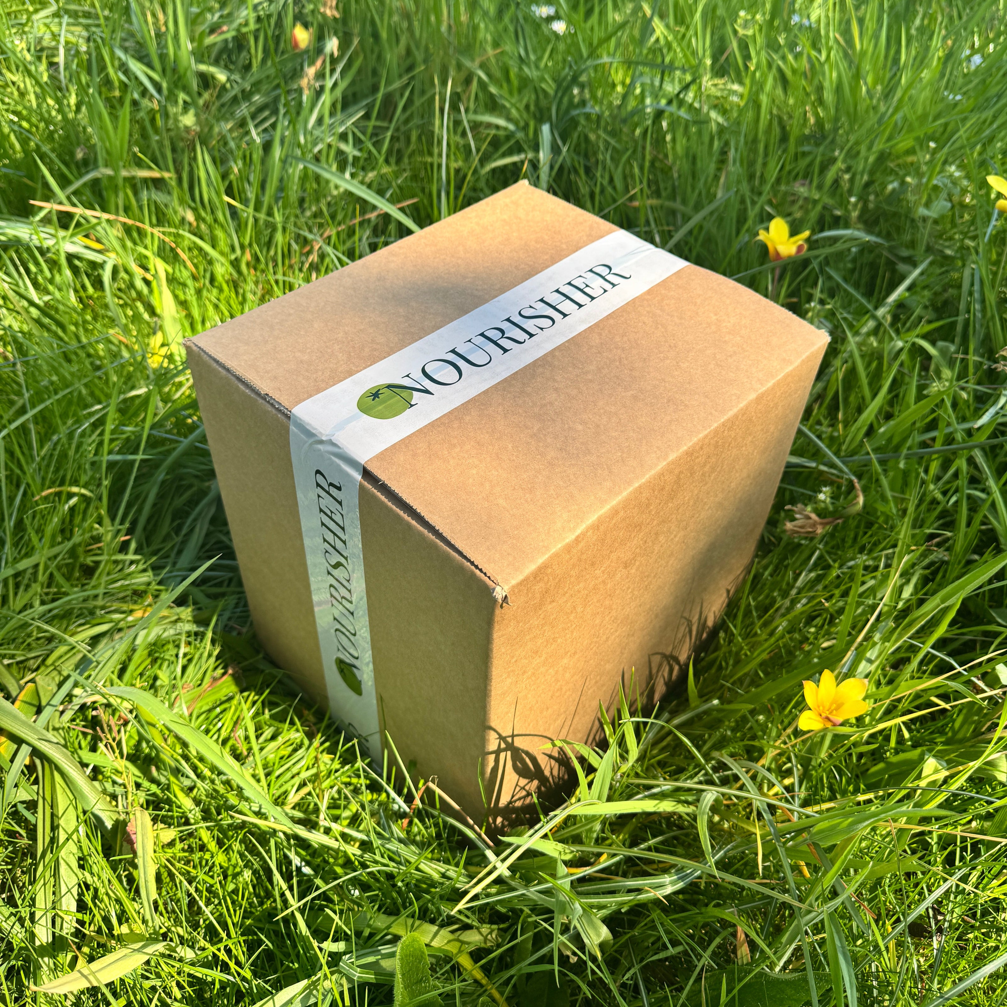 Brown box with 'Worshipster' branding on a grassy background