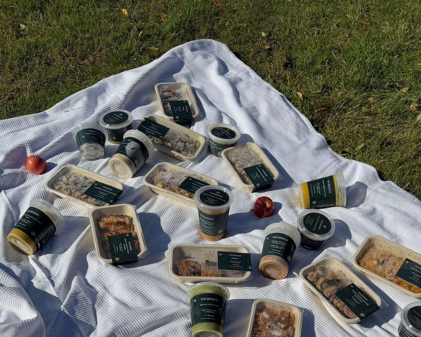 Assorted food containers on a white blanket outdoors